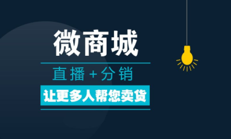 微商分銷系統(tǒng)的主要功能有哪些？