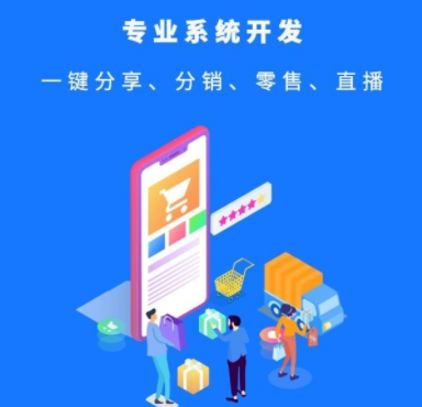 分銷系統開發過程中有哪些重要事項要注意？
