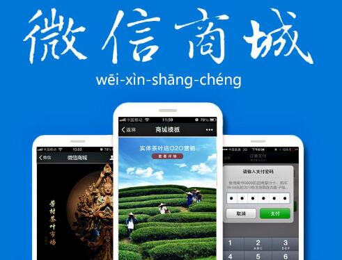 分銷商城系統(tǒng)在電商領(lǐng)域當(dāng)中優(yōu)勢巨大